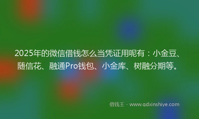 2025年的微信借钱怎么当凭证用呢有：小金豆、随信花、融通Pro钱包、小金库、树融分期等。
