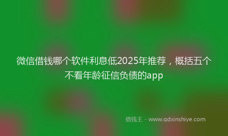 微信借钱哪个软件利息低2025年推荐，概括五个不看年龄征信负债的app