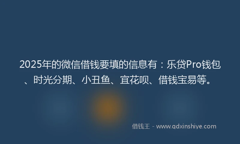 2025年的微信借钱要填的信息有：乐贷Pro钱包、时光分期、小丑鱼、宜花呗、借钱宝易等。
