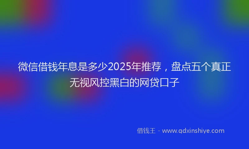 微信借钱年息是多少2025年推荐，盘点五个真正无视风控黑白的网贷口子