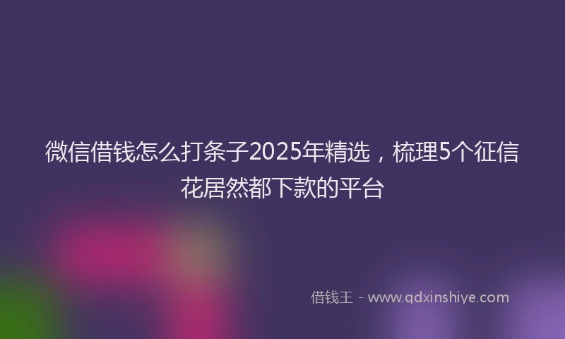微信借钱怎么打条子2025年精选，梳理5个征信花居然都下款的平台