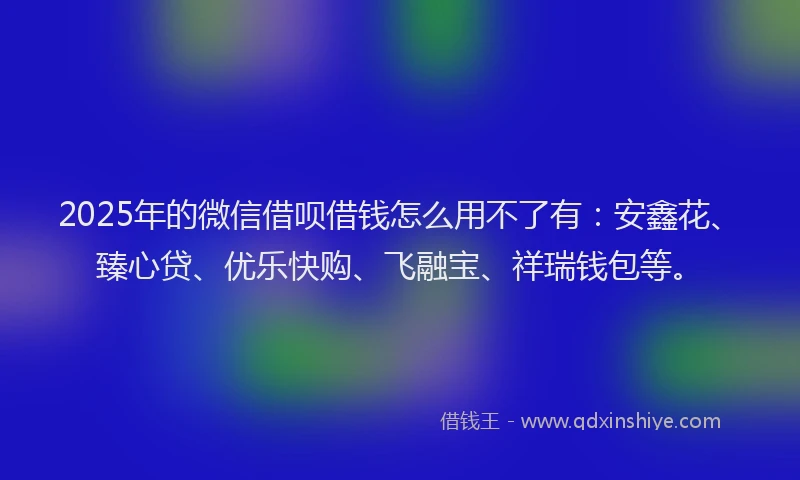 2025年的微信借呗借钱怎么用不了有：安鑫花、臻心贷、优乐快购、飞融宝、祥瑞钱包等。