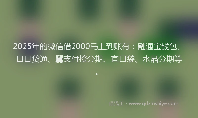 2025年的微信借2000马上到账有：融通宝钱包、日日贷通、翼支付橙分期、宜口袋、水晶分期等。