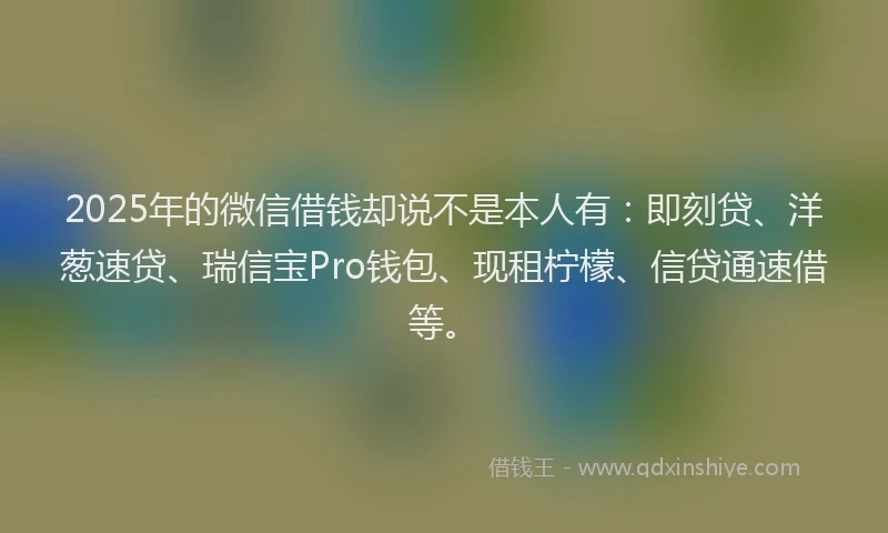 2025年的微信借钱却说不是本人有：即刻贷、洋葱速贷、瑞信宝Pro钱包、现租柠檬、信贷通速借等。