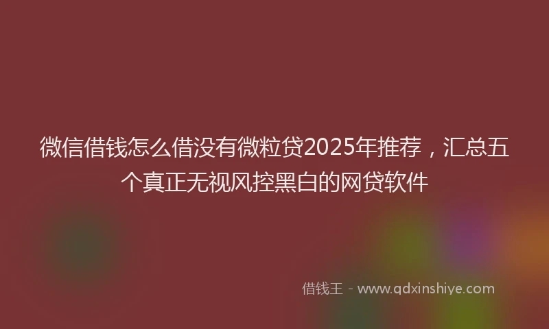微信借钱怎么借没有微粒贷2025年推荐，汇总五个真正无视风控黑白的网贷软件
