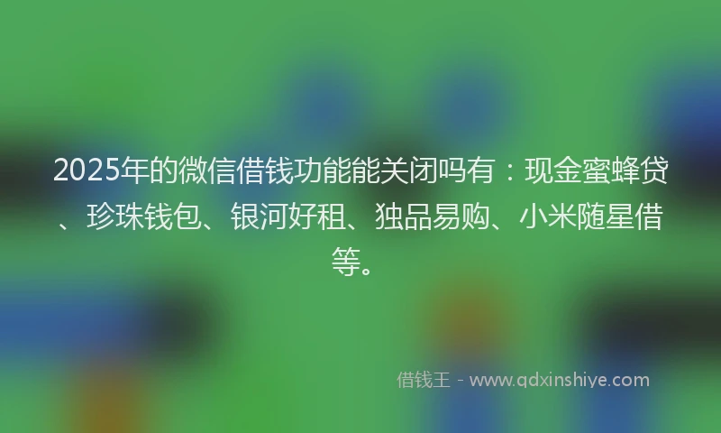 2025年的微信借钱功能能关闭吗有：现金蜜蜂贷、珍珠钱包、银河好租、独品易购、小米随星借等。