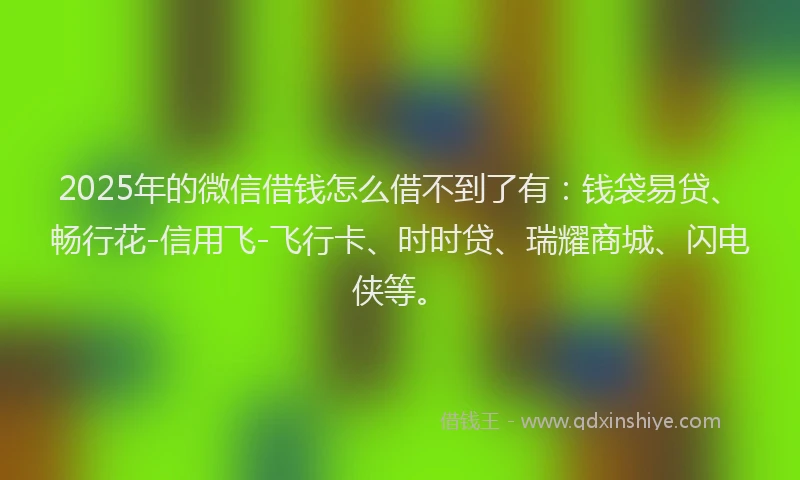 2025年的微信借钱怎么借不到了有：钱袋易贷、畅行花-信用飞-飞行卡、时时贷、瑞耀商城、闪电侠等。