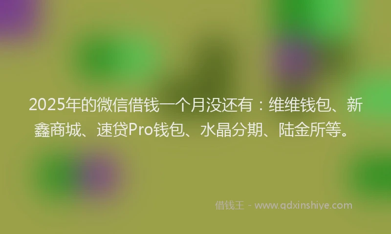 2025年的微信借钱一个月没还有：维维钱包、新鑫商城、速贷Pro钱包、水晶分期、陆金所等。