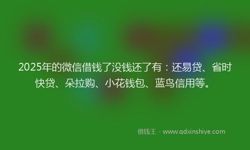 2025年的微信借钱了没钱还了有：还易贷、省时快贷、朵拉购、小花钱包、蓝鸟信用等。