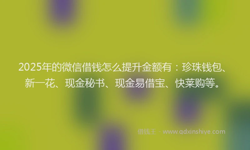 2025年的微信借钱怎么提升金额有：珍珠钱包、新一花、现金秘书、现金易借宝、快莱购等。