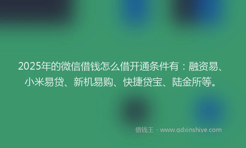 2025年的微信借钱怎么借开通条件有：融资易、小米易贷、新机易购、快捷贷宝、陆金所等。