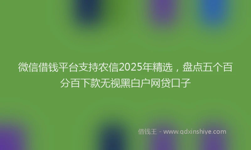 微信借钱平台支持农信2025年精选，盘点五个百分百下款无视黑白户网贷口子