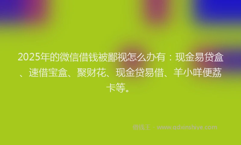 2025年的微信借钱被鄙视怎么办有：现金易贷盒、速借宝盒、聚财花、现金贷易借、羊小咩便荔卡等。