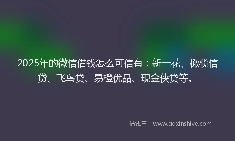 2025年的微信借钱怎么可信有：新一花、橄榄信贷、飞鸟贷、易橙优品、现金侠贷等。