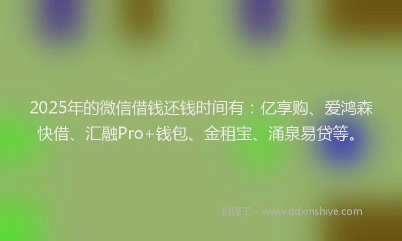2025年的微信借钱还钱时间有：亿享购、爱鸿森快借、汇融Pro+钱包、金租宝、涌泉易贷等。