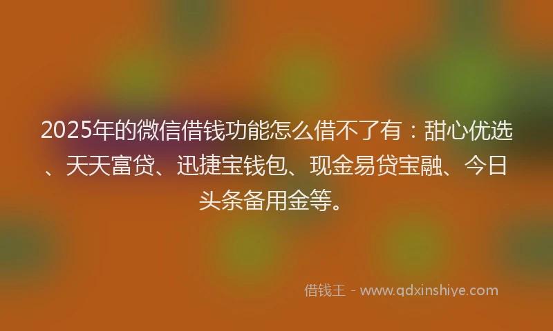 2025年的微信借钱功能怎么借不了有：甜心优选、天天富贷、迅捷宝钱包、现金易贷宝融、今日头条备用金等。