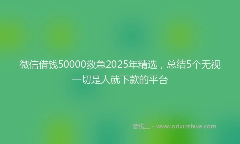 微信借钱50000救急2025年精选，总结5个无视一切是人就下款的平台