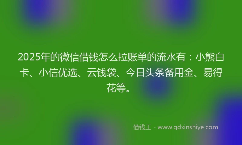 2025年的微信借钱怎么拉账单的流水有：小熊白卡、小信优选、云钱袋、今日头条备用金、易得花等。