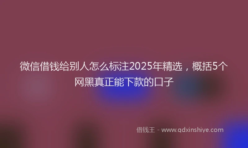微信借钱给别人怎么标注2025年精选，概括5个网黑真正能下款的口子