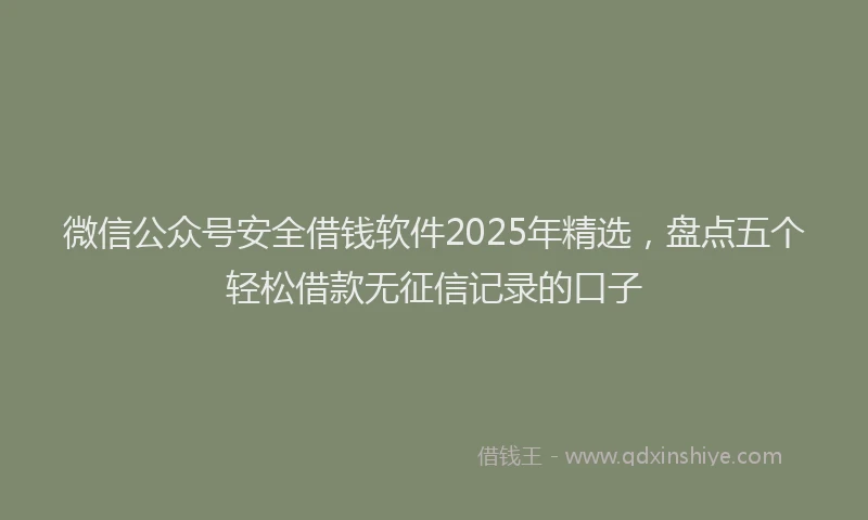 微信公众号安全借钱软件2025年精选，盘点五个轻松借款无征信记录的口子