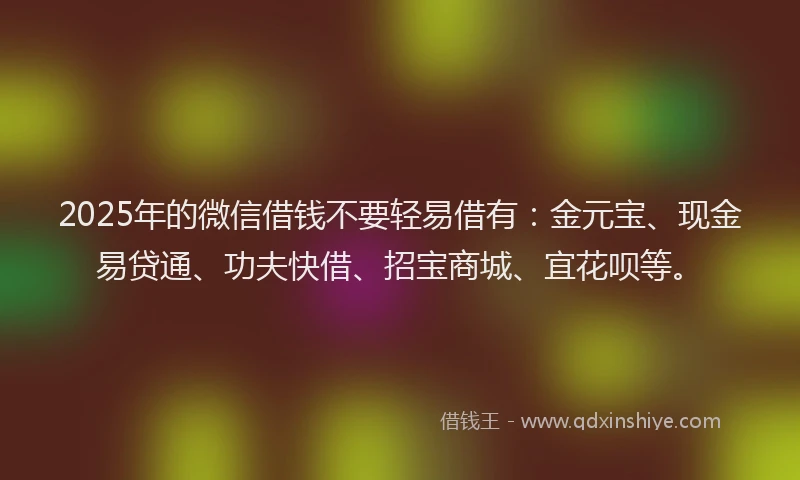 2025年的微信借钱不要轻易借有：金元宝、现金易贷通、功夫快借、招宝商城、宜花呗等。