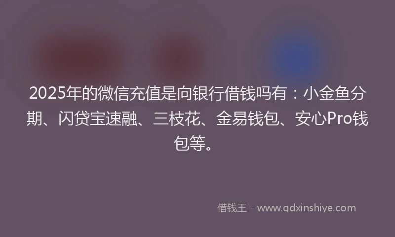 2025年的微信充值是向银行借钱吗有：小金鱼分期、闪贷宝速融、三枝花、金易钱包、安心Pro钱包等。
