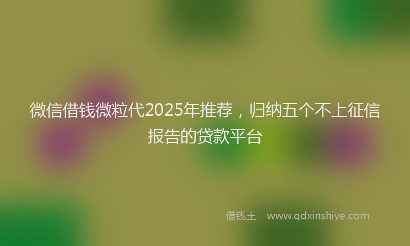 微信借钱微粒代2025年推荐，归纳五个不上征信报告的贷款平台