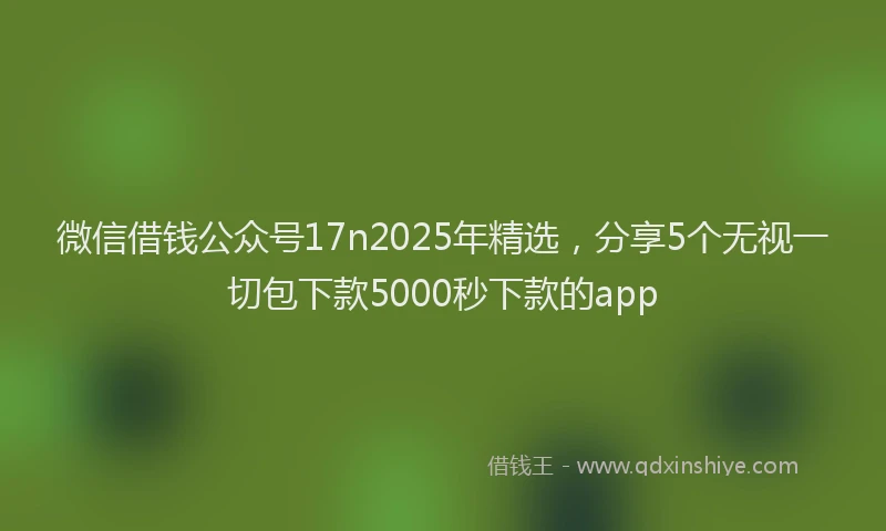 微信借钱公众号17n2025年精选，分享5个无视一切包下款5000秒下款的app