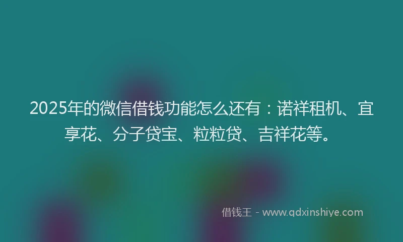 2025年的微信借钱功能怎么还有：诺祥租机、宜享花、分子贷宝、粒粒贷、吉祥花等。
