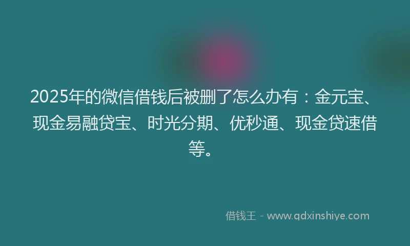 2025年的微信借钱后被删了怎么办有：金元宝、现金易融贷宝、时光分期、优秒通、现金贷速借等。