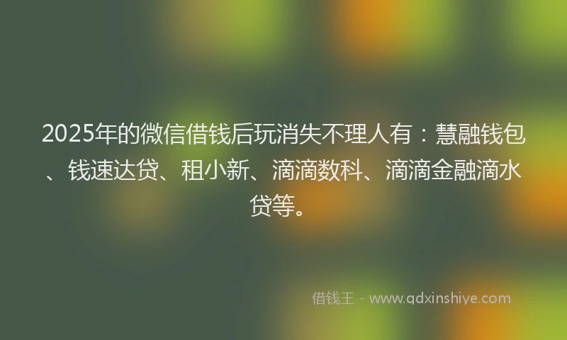 2025年的微信借钱后玩消失不理人有：慧融钱包、钱速达贷、租小新、滴滴数科、滴滴金融滴水贷等。