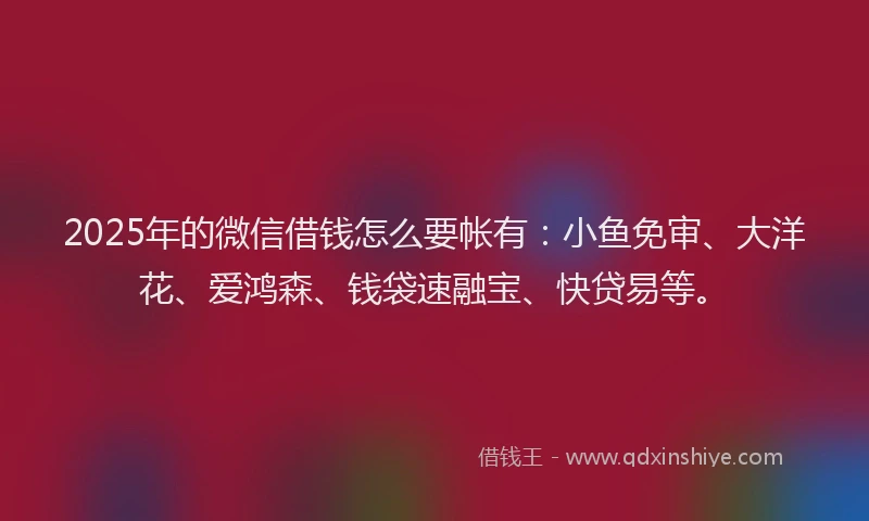 2025年的微信借钱怎么要帐有：小鱼免审、大洋花、爱鸿森、钱袋速融宝、快贷易等。
