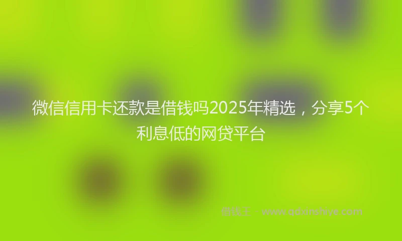 微信信用卡还款是借钱吗2025年精选，分享5个利息低的网贷平台