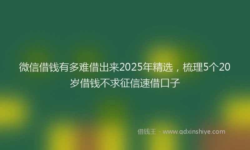 微信借钱有多难借出来2025年精选，梳理5个20岁借钱不求征信速借口子