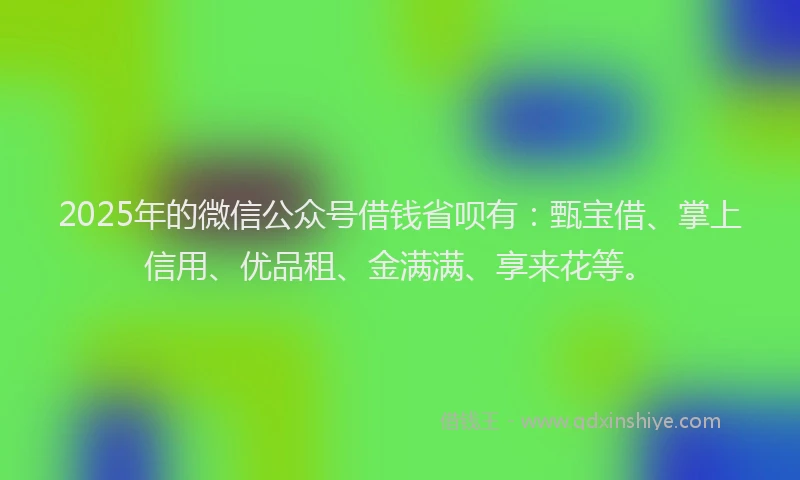 2025年的微信公众号借钱省呗有：甄宝借、掌上信用、优品租、金满满、享来花等。