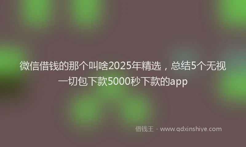 微信借钱的那个叫啥2025年精选，总结5个无视一切包下款5000秒下款的app