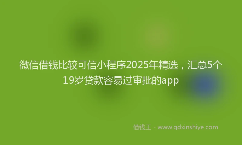 微信借钱比较可信小程序2025年精选，汇总5个19岁贷款容易过审批的app