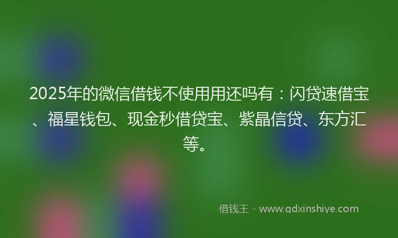 2025年的微信借钱不使用用还吗有：闪贷速借宝、福星钱包、现金秒借贷宝、紫晶信贷、东方汇等。