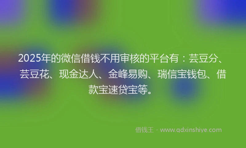 2025年的微信借钱不用审核的平台有：芸豆分、芸豆花、现金达人、金峰易购、瑞信宝钱包、借款宝速贷宝等。