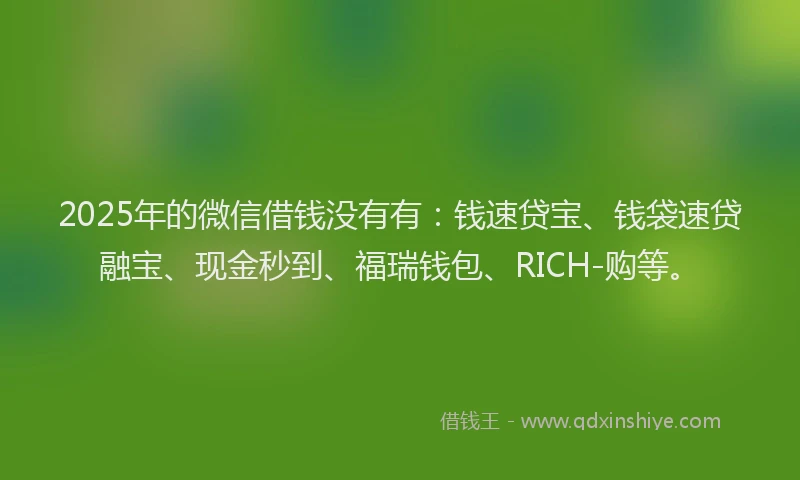 2025年的微信借钱没有有：钱速贷宝、钱袋速贷融宝、现金秒到、福瑞钱包、RICH-购等。