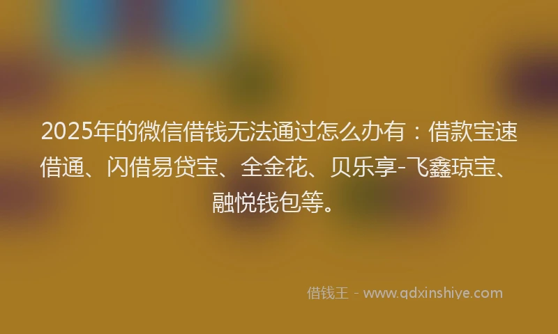 2025年的微信借钱无法通过怎么办有：借款宝速借通、闪借易贷宝、全金花、贝乐享-飞鑫琼宝、融悦钱包等。