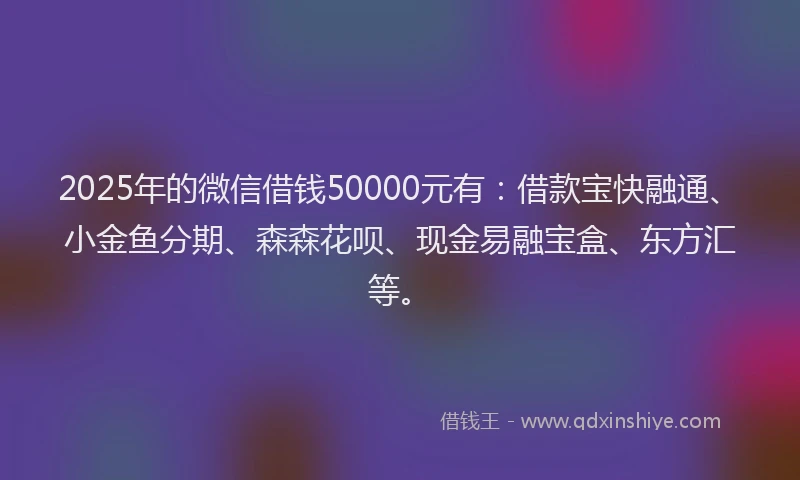 2025年的微信借钱50000元有：借款宝快融通、小金鱼分期、森森花呗、现金易融宝盒、东方汇等。