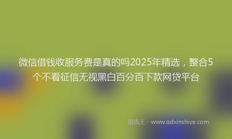 微信借钱收服务费是真的吗2025年精选，整合5个不看征信无视黑白百分百下款网贷平台