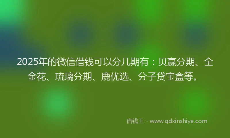 2025年的微信借钱可以分几期有：贝赢分期、全金花、琉璃分期、鹿优选、分子贷宝盒等。