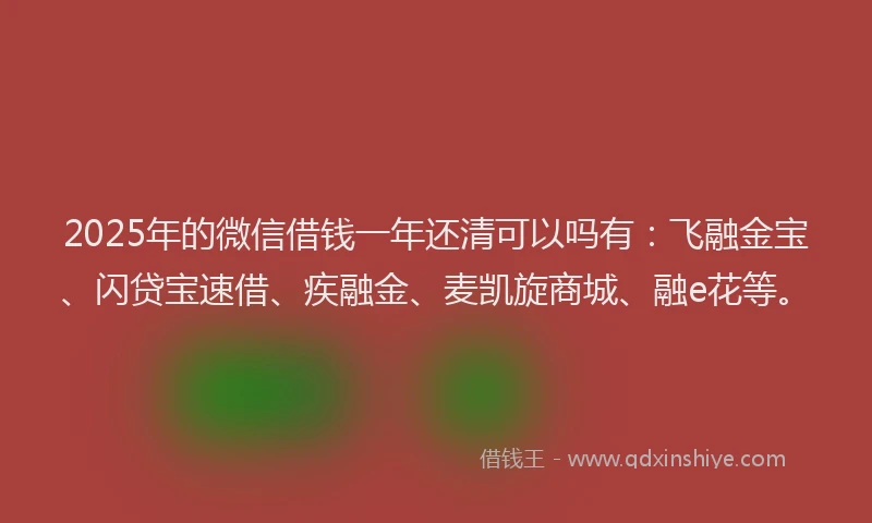 2025年的微信借钱一年还清可以吗有：飞融金宝、闪贷宝速借、疾融金、麦凯旋商城、融e花等。