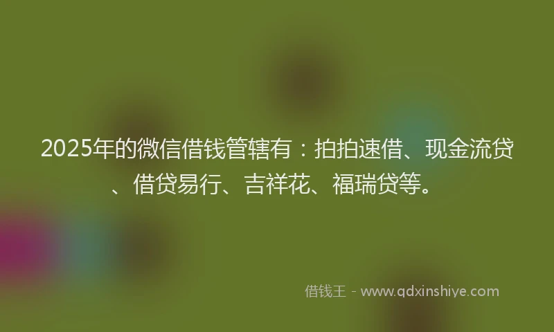 2025年的微信借钱管辖有：拍拍速借、现金流贷、借贷易行、吉祥花、福瑞贷等。