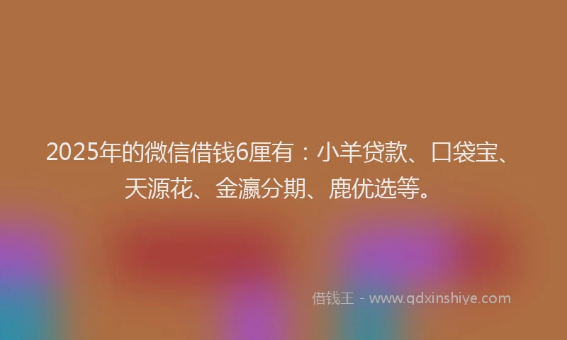 2025年的微信借钱6厘有：小羊贷款、口袋宝、天源花、金瀛分期、鹿优选等。