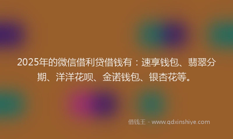 2025年的微信借利贷借钱有：速享钱包、翡翠分期、洋洋花呗、金诺钱包、银杏花等。