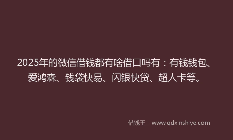2025年的微信借钱都有啥借口吗有：有钱钱包、爱鸿森、钱袋快易、闪银快贷、超人卡等。