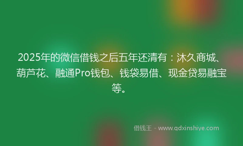 2025年的微信借钱之后五年还清有：沐久商城、葫芦花、融通Pro钱包、钱袋易借、现金贷易融宝等。